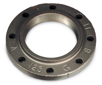 Cast-Iron Threaded Companion Flange, 2" NPT Cast-Iron Threaded Companion Flange, 2" NPT