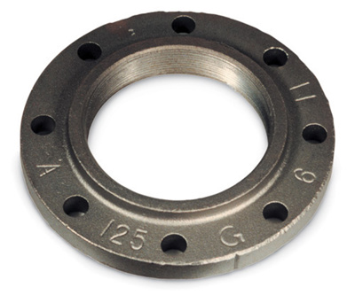 Cast-Iron Threaded Companion Flange, 2" NPT