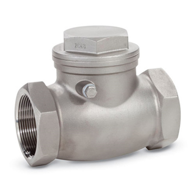 316 SS Swing Check Valve, 2" NPT