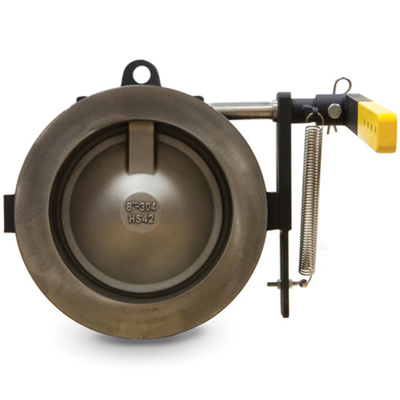 8 Inch Lever Check Valve | USABlueBook.com