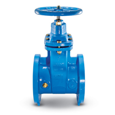 Watts 405-NRS-RW Cast Iron Gate Valve, 3 in FLG, 0700104 | USABlueBook.com