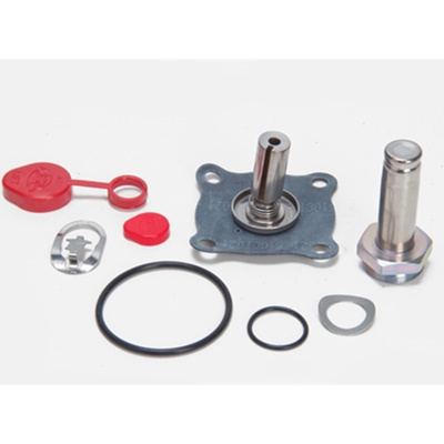 ASCO Solenoid Valve Repair Kit, 314491-MO