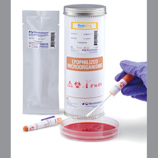 E. coli ATCC# 25922 Kwik-Stik, 6 pack, 0335K | USABlueBook.com